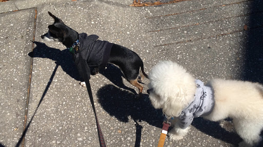 Pet Supply Store «Petco Animal Supplies», reviews and photos, 4663 Firestone Blvd, South Gate, CA 90280, USA