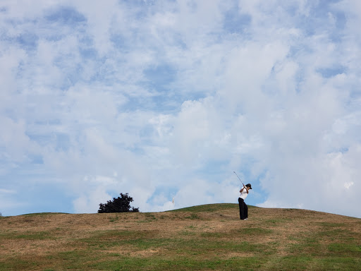 Public Golf Course «Ely Park Golf Course», reviews and photos, 67 Ridge St, Binghamton, NY 13905, USA