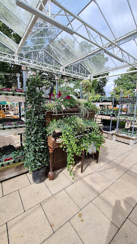 Comments and reviews of Squire's Garden Centre