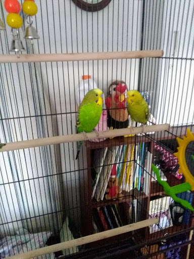 Pet Supply Store «PetSmart», reviews and photos, 208 Mariner Way, Biddeford, ME 04005, USA