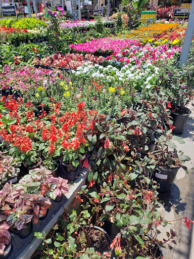 Home Improvement Store «The Home Depot», reviews and photos, 7121 Firestone Blvd, Downey, CA 90241, USA