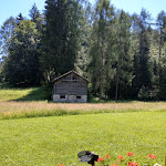 Photo n°16 de l'avis de Tiziana. fait le 05/07/2020 à 17:17 sur le  Trattoria Ski Bar à Tai di Cadore