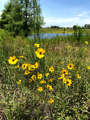 Nature Preserve «Duette Preserve», reviews and photos, 2649 Rawls Rd, Parrish, FL 34219, USA