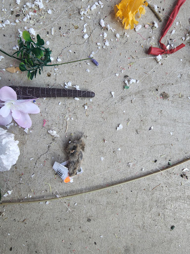 Storage Facility «Extra Space Storage», reviews and photos, 6667 Van Buren Boulevard, Riverside, CA 92503, USA