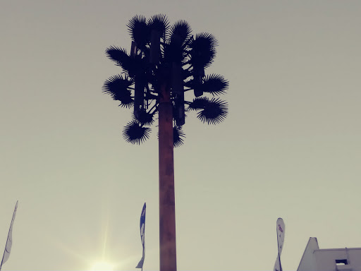 Shoe Store «WSS», reviews and photos, 20310 S Wilmington Ave, Compton, CA 90220, USA