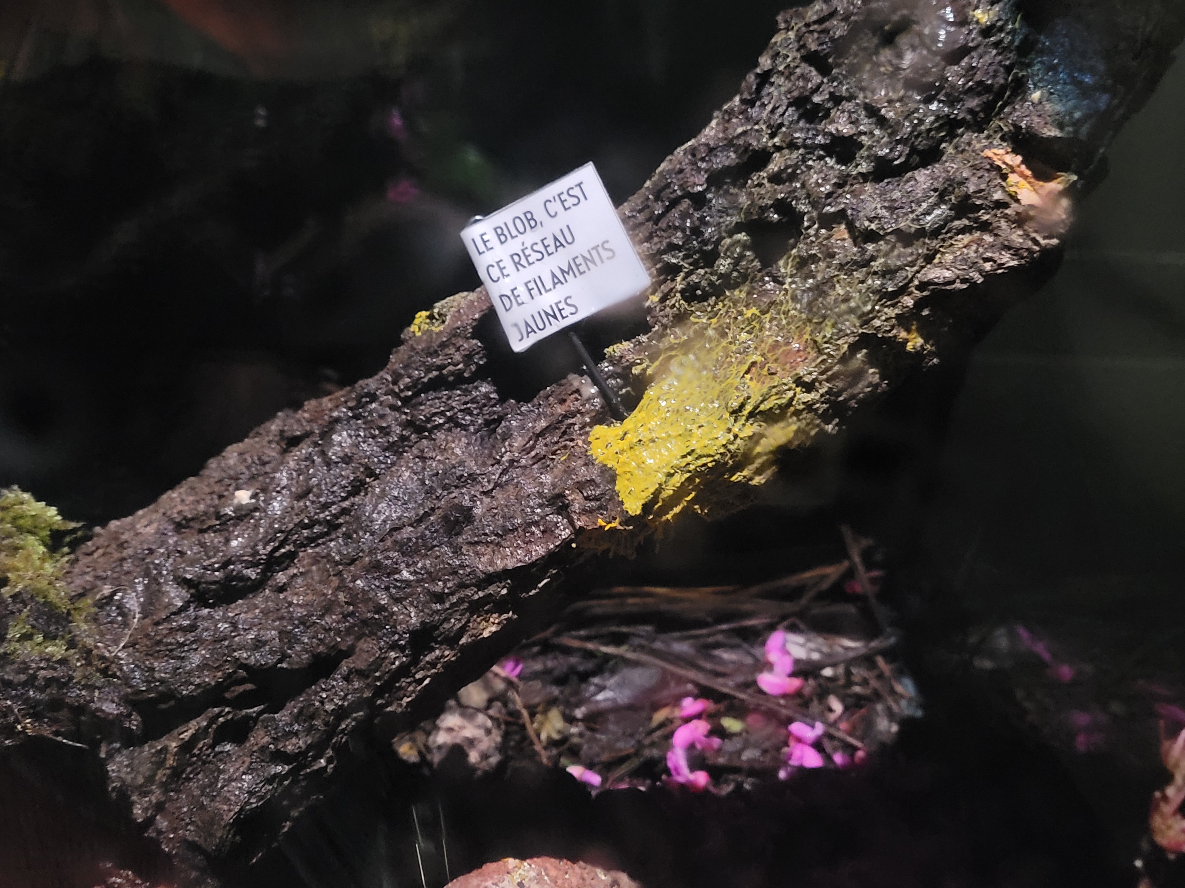 Photo n° 3 de l'avis de Nathalie.o fait le 17/04/2022 à 11:27