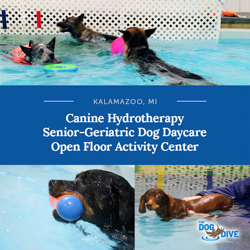 Pet Store «The Dog Dive», reviews and photos, 1613 Riverview Dr, Kalamazoo, MI 49004, USA