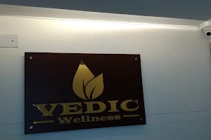 Vedic Wellness image