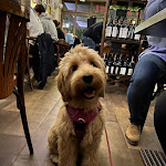 Photo n°1 de l'avis de Heilpraktikerin.s fait le 07/07/2015 à 15:38 sur le  Fellini Café Vinoteca à Bad Nauheim