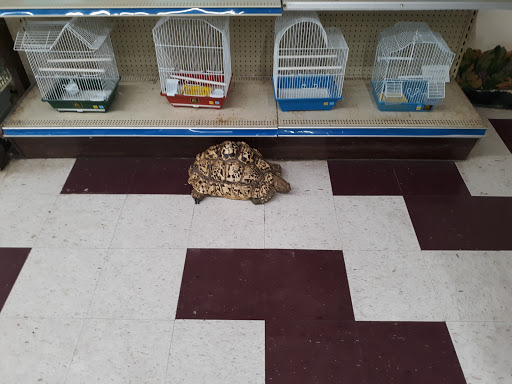 Pet Store «Salisbury Super Pet», reviews and photos, 329 Civic Ave, Salisbury, MD 21804, USA