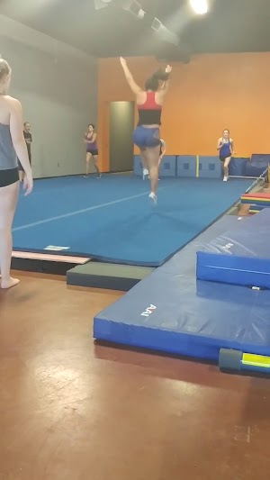 Fortis Gymnastics Academy - photo 17