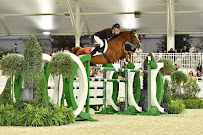 Ocala Breeders Feed & Supply Airport Rd Location - Photo 8 - Car repair in Ocala, FL, Ocala