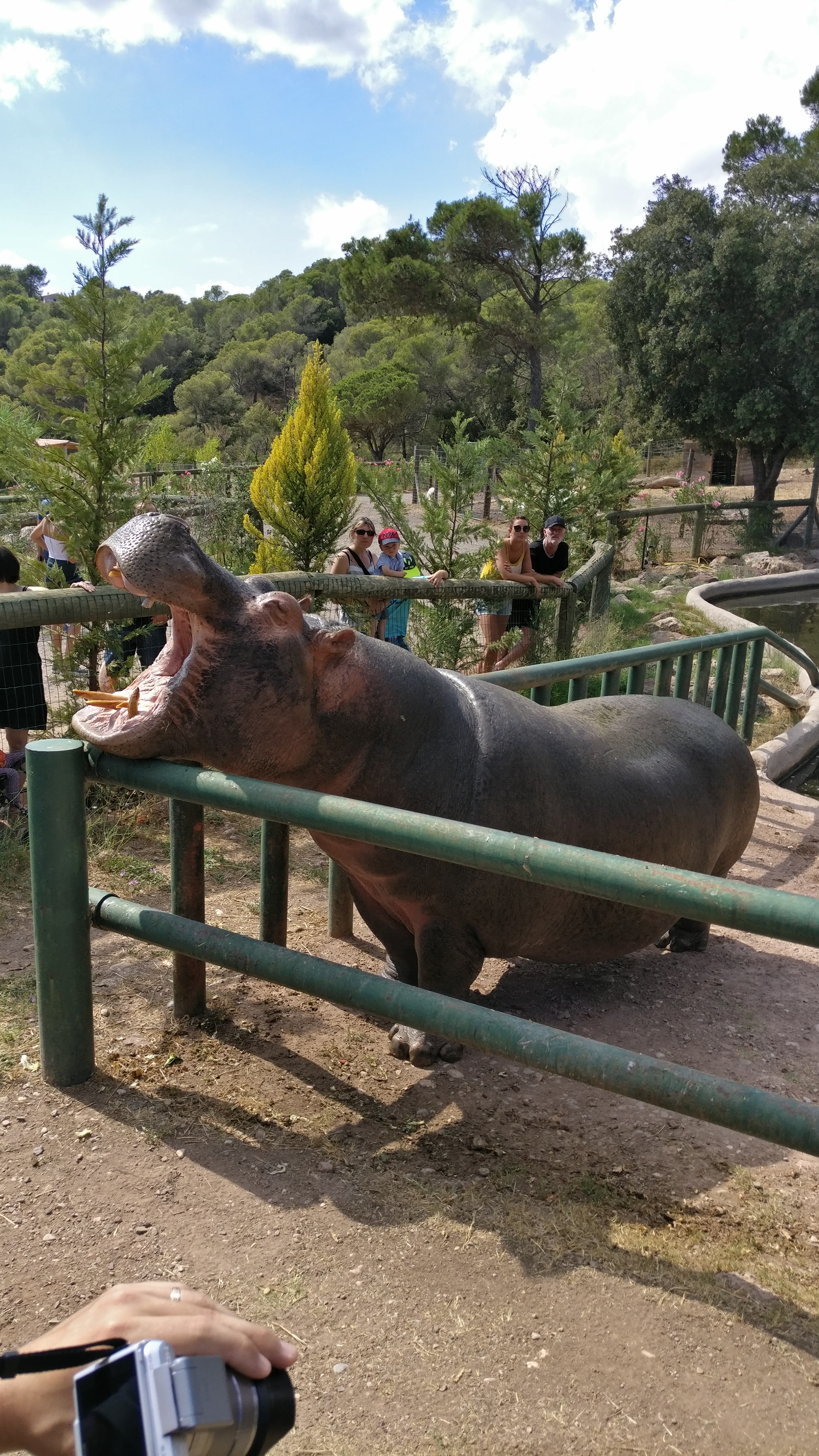 Photo n° 12 de l'avis de Maël.L fait le 10/08/2016 à 11:27