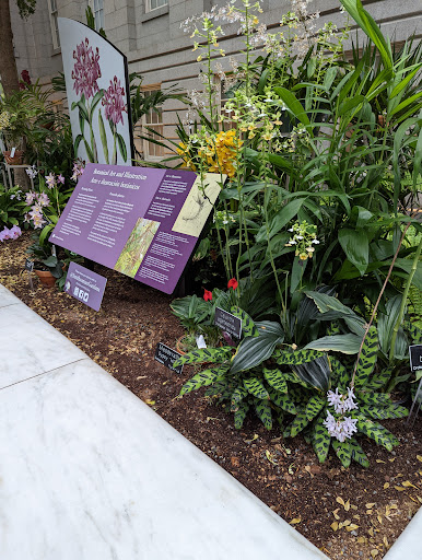 Art Museum «Smithsonian American Art Museum», reviews and photos, F St NW & 8th St NW, Washington, DC 20004, USA