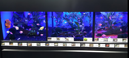 Pet Supply Store «Pet Supermarket, Inc.», reviews and photos, 1052 Peachtree Industrial Blvd, Suwanee, GA 30024, USA