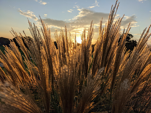 Country Club «Tedesco Country Club», reviews and photos, 154 Tedesco St, Marblehead, MA 01945, USA