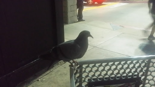 Grocery Store «Kroger», reviews and photos, 514 S Carrier Pkwy, Grand Prairie, TX 75051, USA