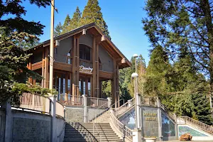 World Forestry Center image