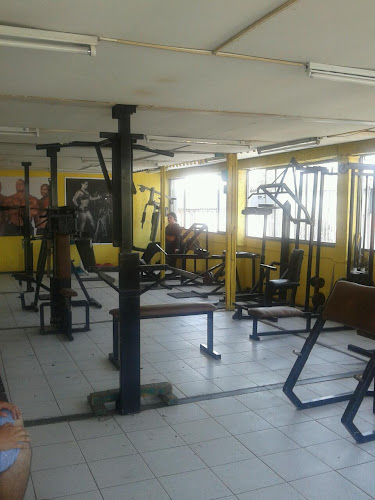 Opiniones de Club Sport fitness en San Joaquín - Gimnasio