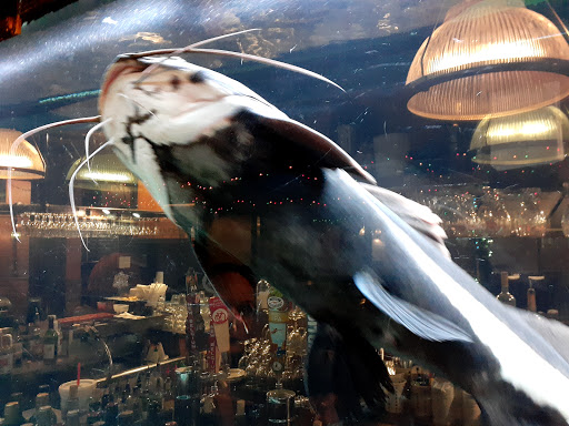 Shopping Mall «Tiffany Plaza Mall», reviews and photos, 7800 E Hampden Ave, Denver, CO 80231, USA