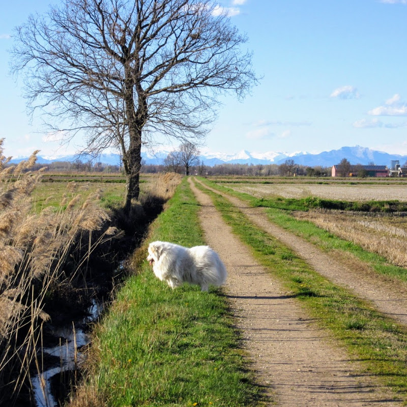 Parco Agricolo Sud Milano