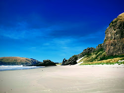 Aramoana Beach'in fotoğrafı doğal alan içinde bulunmaktadır