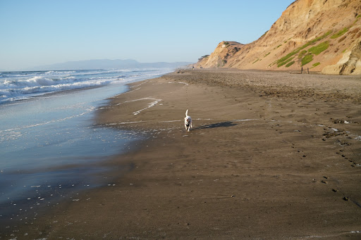 Park «Fort Funston», reviews and photos, Fort Funston Rd, San Francisco, CA 94132, USA