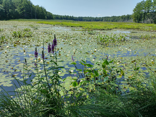 National Reserve «Assabet River National Wildlife Refuge», reviews and photos, 680 Hudson Road, Sudbury, MA 01776, USA