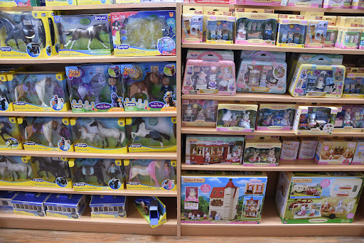 Toy Store «Brilliant Sky Toys & Books», reviews and photos, 1705 Mallory Ln #100, Brentwood, TN 37027, USA