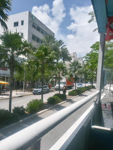 Tour Agency «Duck Tours-South Beach», reviews and photos, 1661 James Ave, Miami Beach, FL 33139, USA