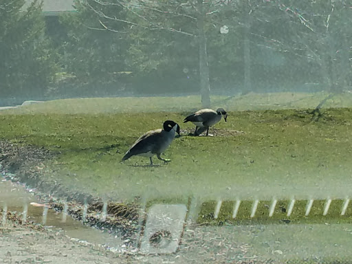 Car Repair and Maintenance «Midas», reviews and photos, 5245 Nike Station Way, Hilliard, OH 43026, USA