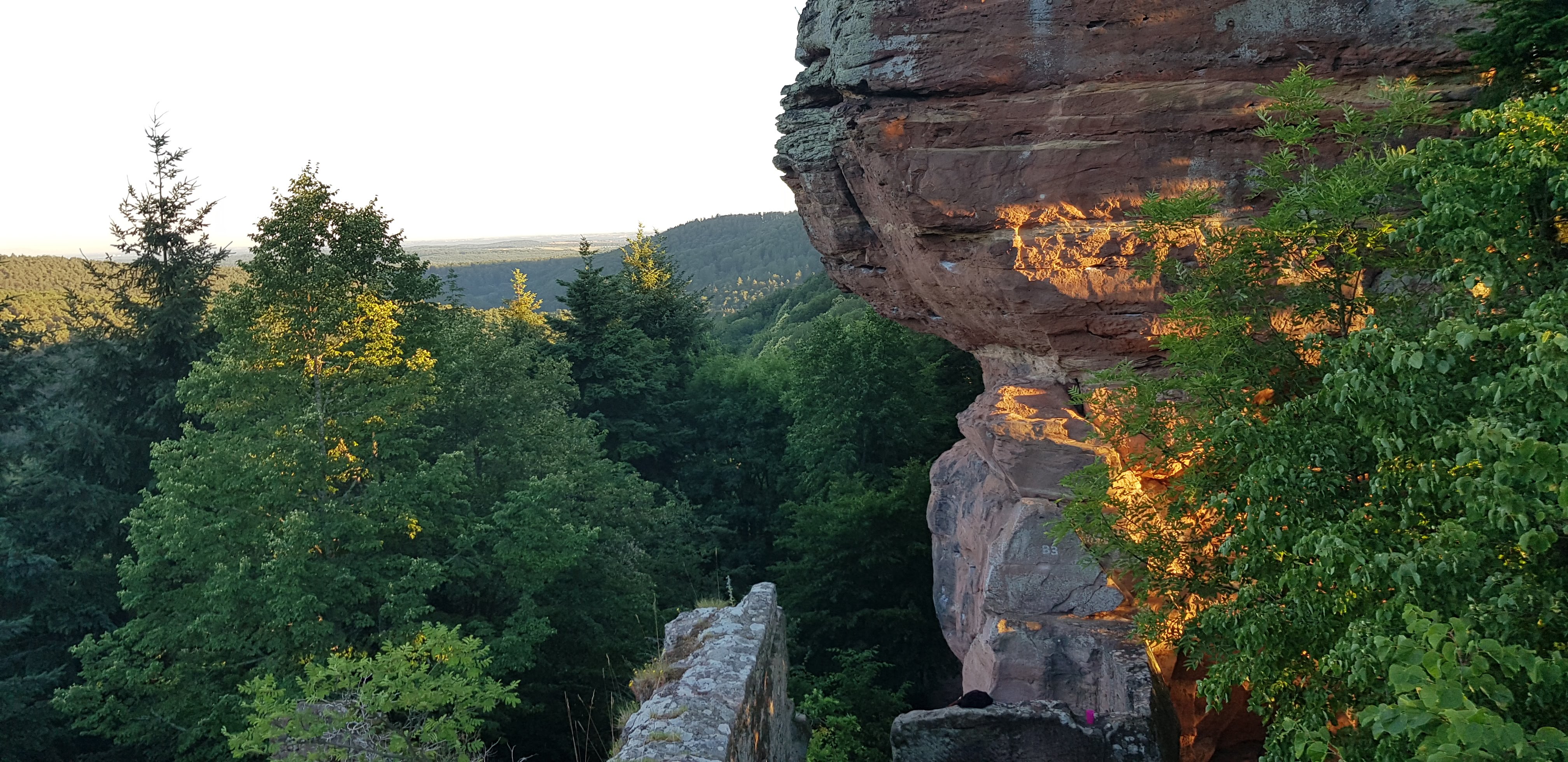 Photo n° 1 de l'avis de Valentin.i fait le 30/06/2019 à 08:37