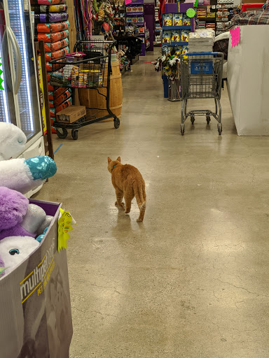 Pet Supply Store «Premier Pet Supply», reviews and photos, 15399 Merriman Rd, Livonia, MI 48154, USA