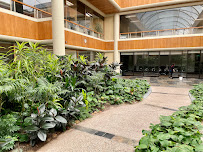 Fusion Academy San Mateo - Photo 6 - Car repair in San Mateo, CA, San Mateo