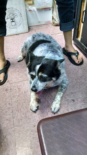 Thrift Store «Phoenix Thrift Shoppe», reviews and photos, 10029 San Jose Blvd, Jacksonville, FL 32257, USA