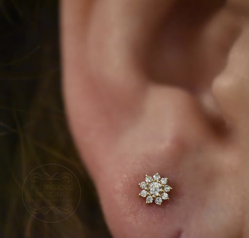 Explore netherlands tattoo ideas, creative tattoo ideas in Corpus Christi, available at Prestigious Piercing