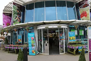 Squire's Garden Centre image