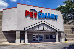 PetSmart image