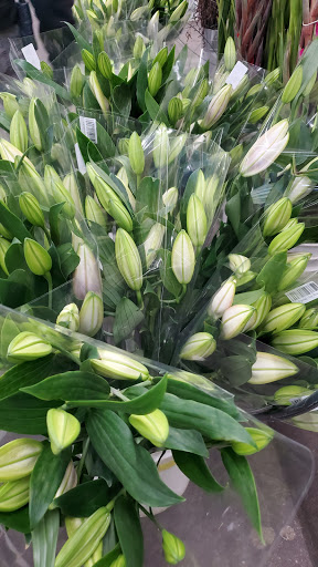 Florist «Wholesale Flowers and Supplies», reviews and photos, 5305 Metro St, San Diego, CA 92110, USA