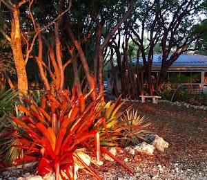 Historic Shadow Point Vacation Rental in Florida Keys - photo 11