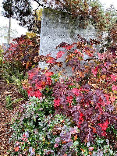 Park «Kirke Park», reviews and photos, 7028 9th Ave NW, Seattle, WA 98117, USA