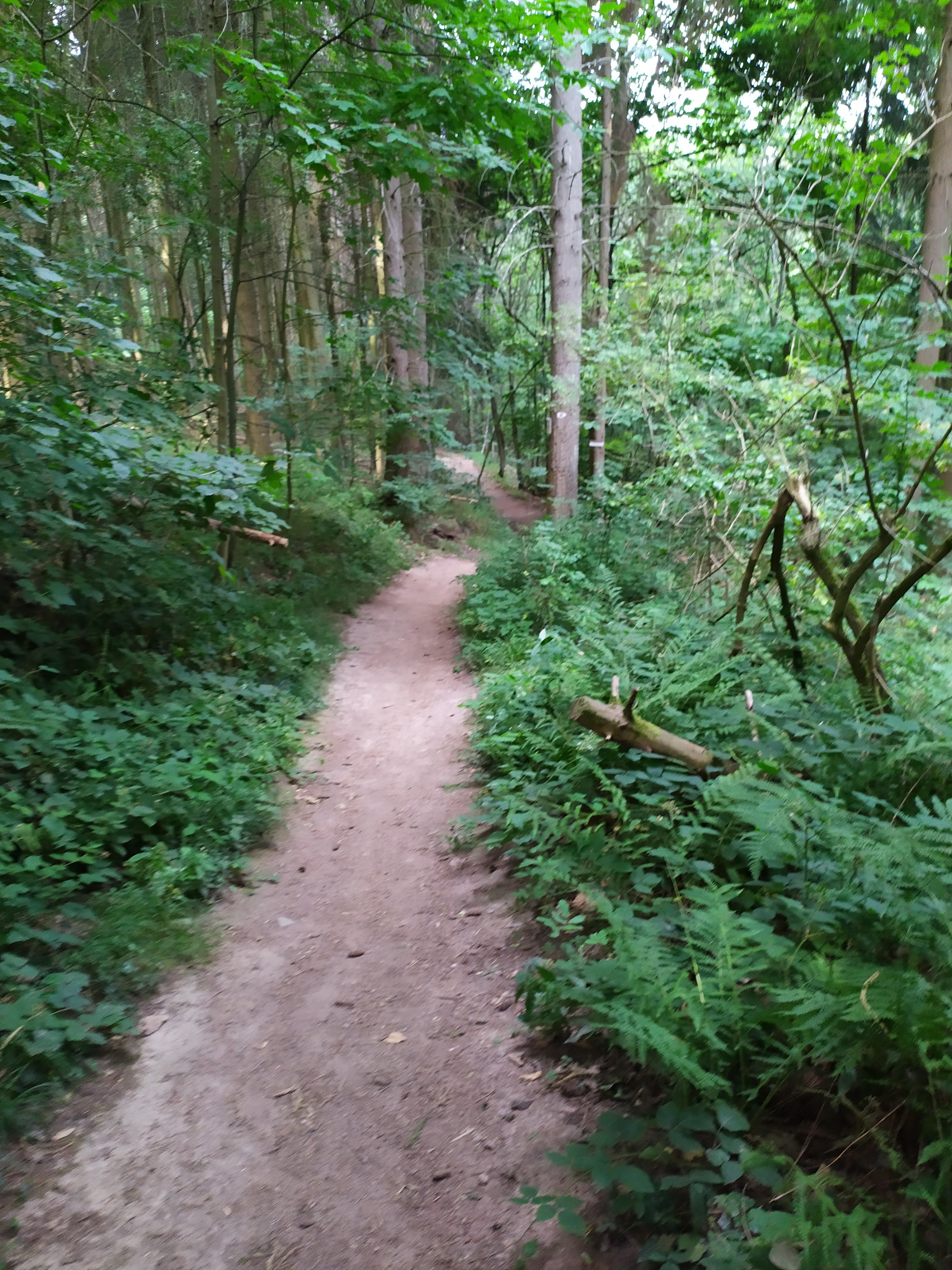 Photo n° 11 de l'avis de giuliani.a fait le 20/07/2019 à 00:16