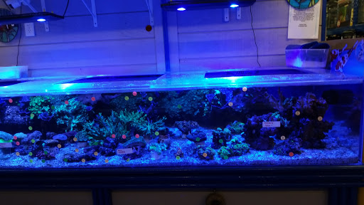 Tropical Fish Store «Stingray Bay», reviews and photos, 17800 E 9 Mile Rd, Eastpointe, MI 48021, USA