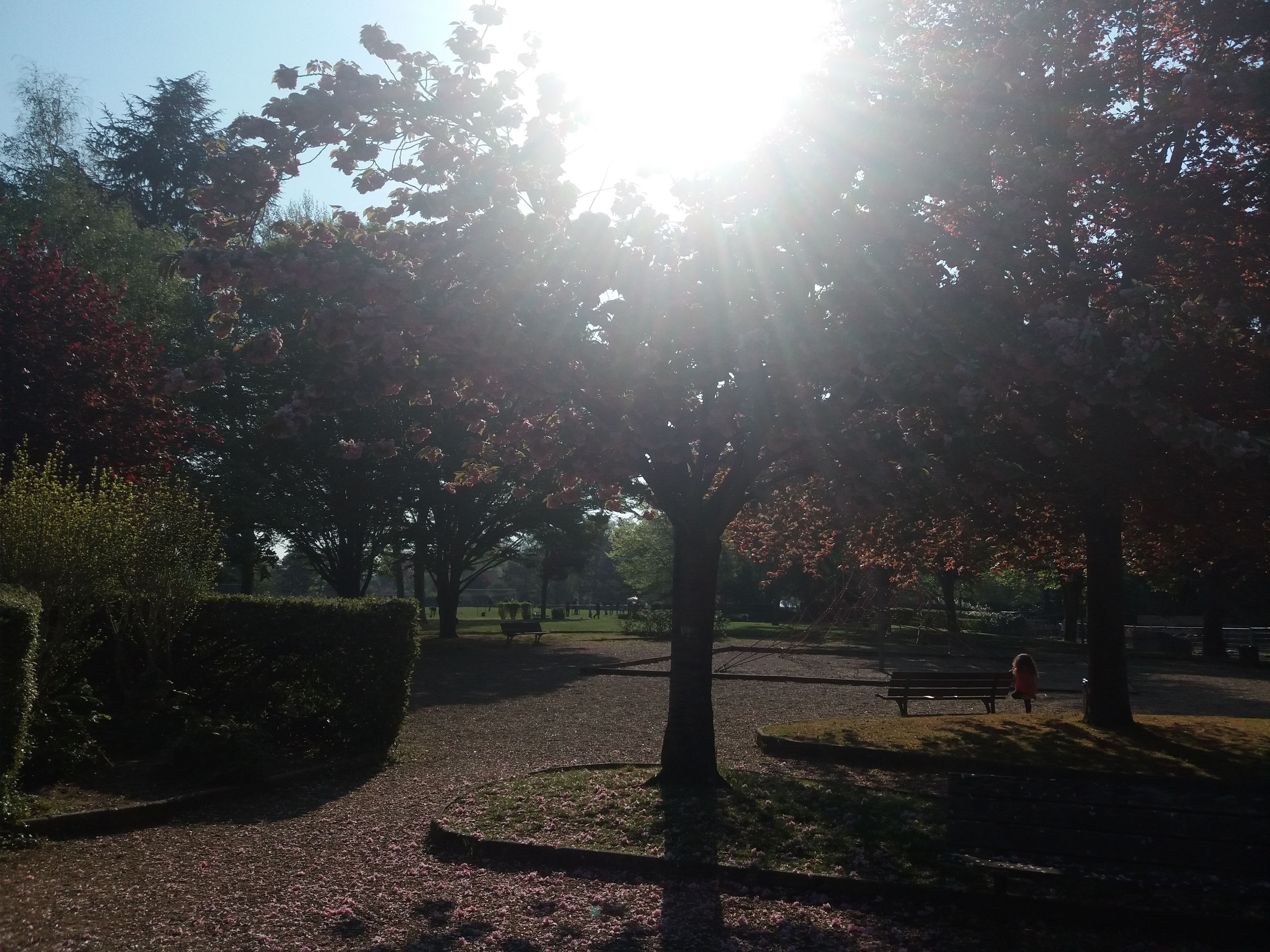 Photo n° 2 de l'avis de Nora.s fait le 20/04/2019 à 17:03