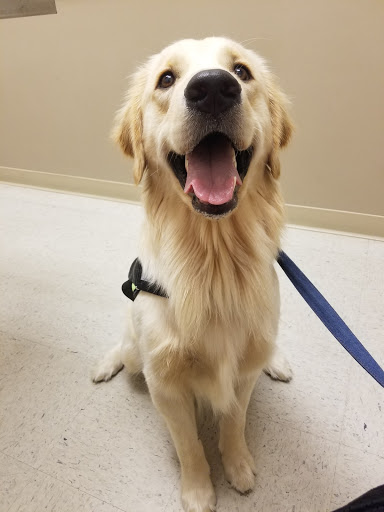 Seminole Springs Veterinary Clinic image