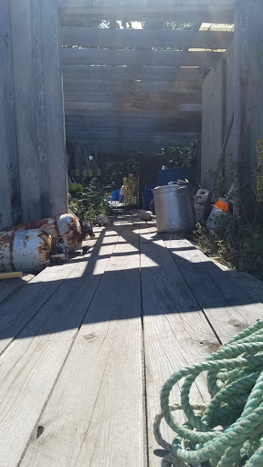 Nature Preserve «Johnson Field Preserve at Mackerel Cove», reviews and photos, 25 Abner Point Rd, Bailey Island, ME 04003, USA