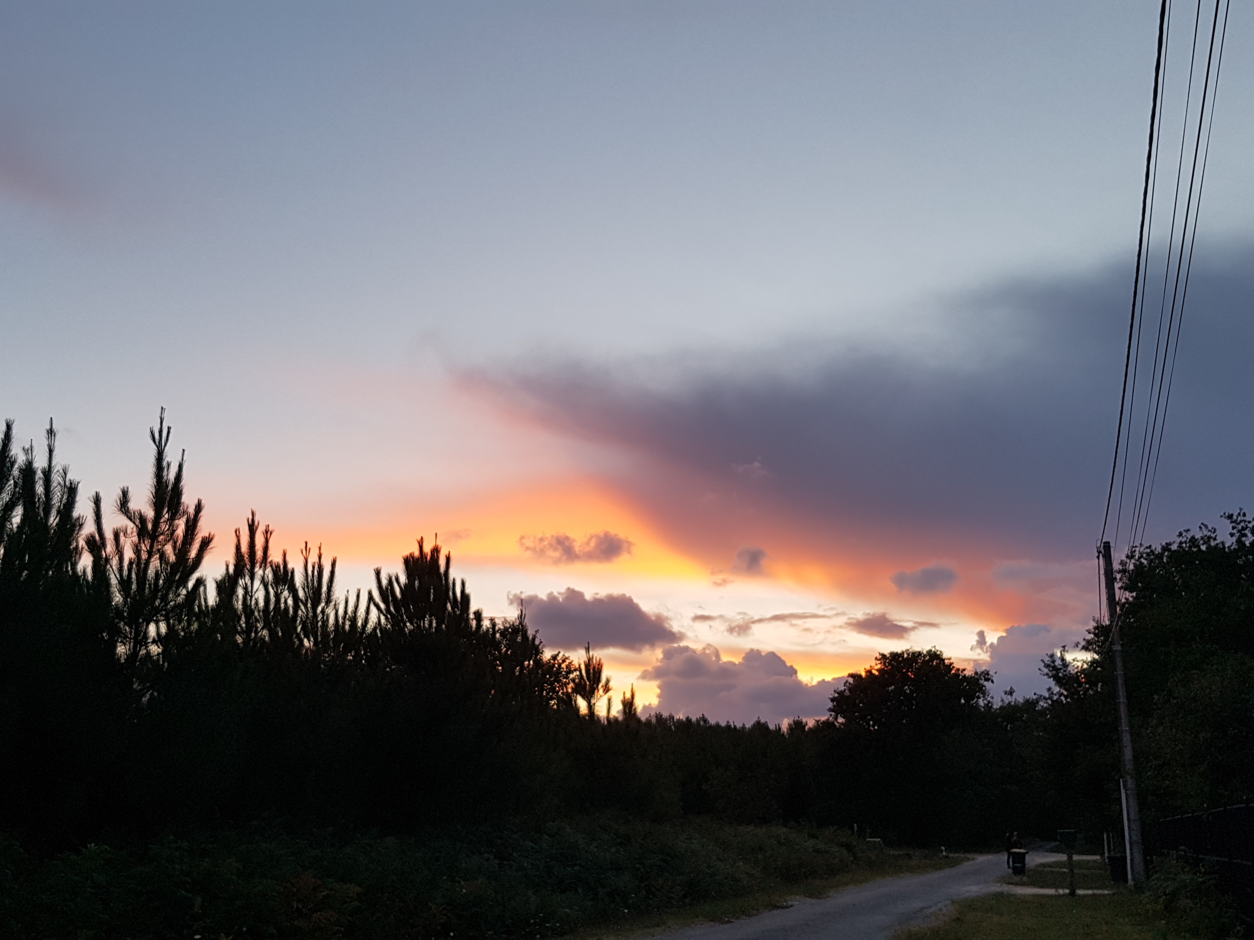 Photo n° 1 de l'avis de 37.i fait le 14/09/2017 à 07:26