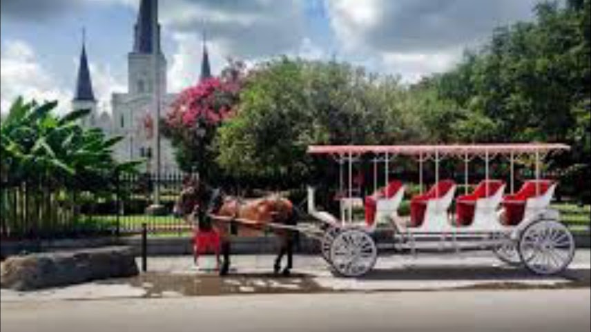 New Orleans Top Tours by null