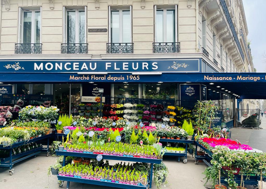 Photo n° 1 de l'avis de Mehdi.t fait le 15/01/2024 à 18:25