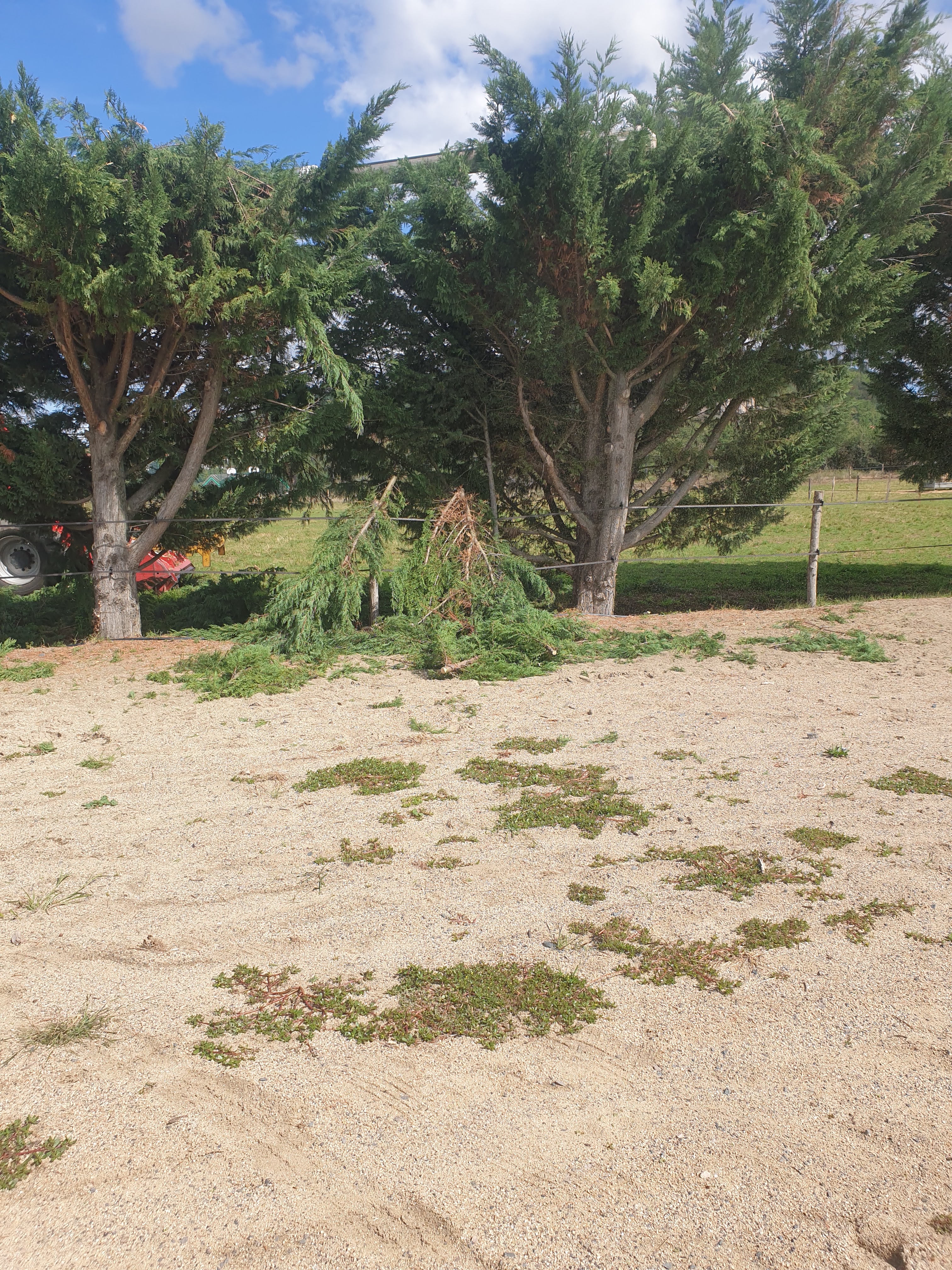 Photo n° 3 de l'avis de thierry.A fait le 23/08/2022 à 12:10